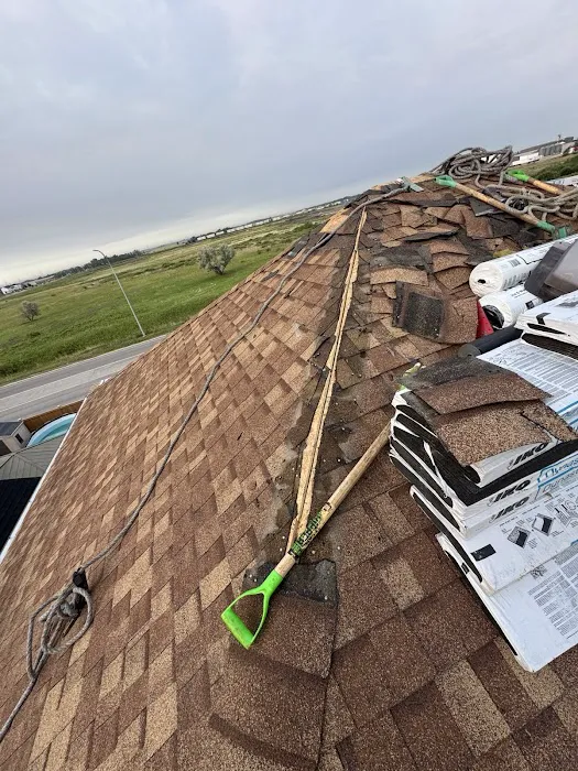 Zega Roofing Picture 7
