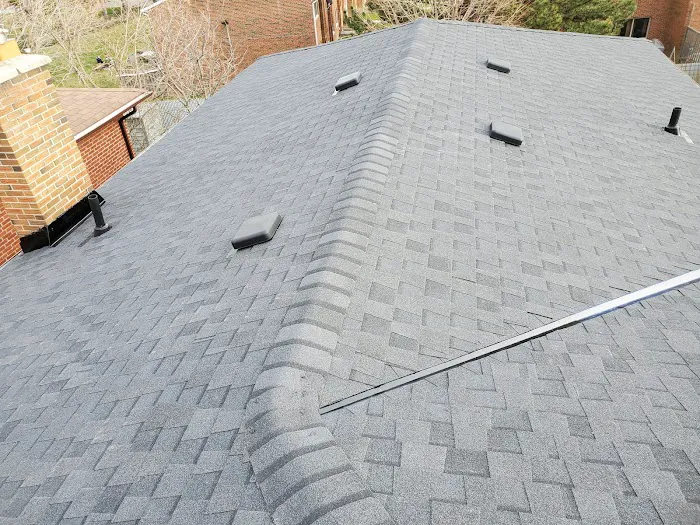 Leading On Edge Roofing Picture 2