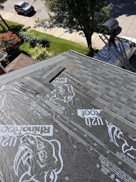 BNS Roofing Picture 8