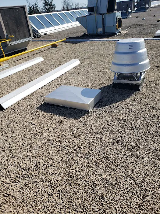 Maximus Roofing Picture 10