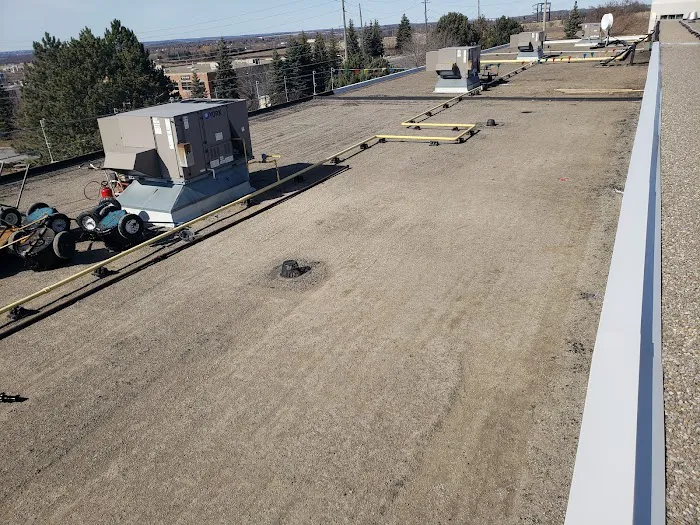 Maximus Roofing Picture 9