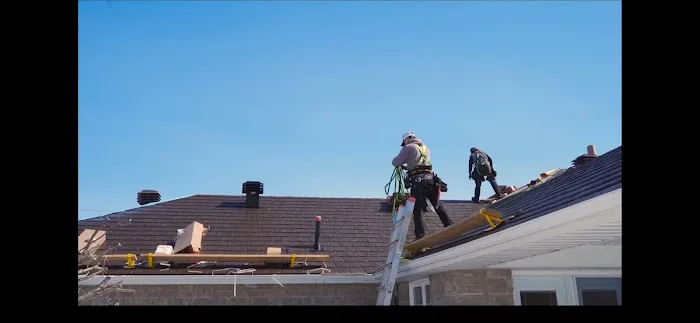 Maximus Roofing Picture 1