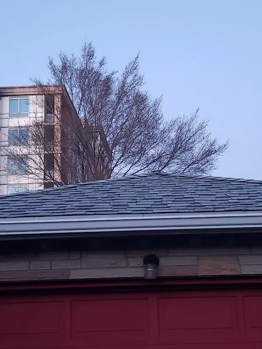 Maximus Roofing Picture 4
