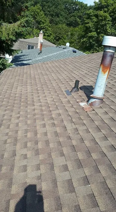 Lara's Roofing Picture 5