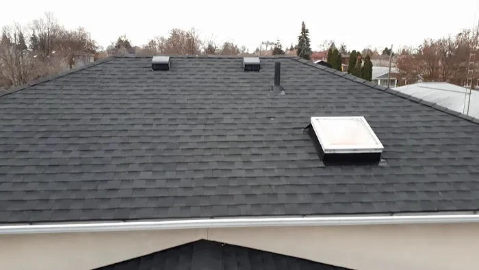 Lara's Roofing Picture 4
