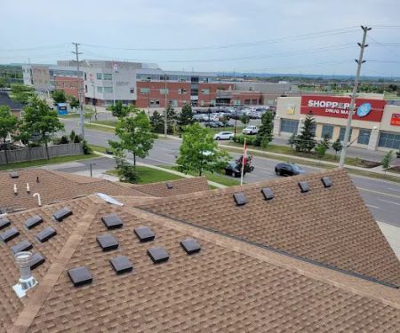 Green Roofing Solutions