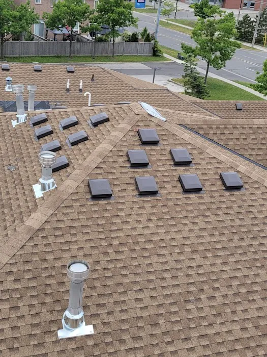 Green Roofing Solutions Picture 3