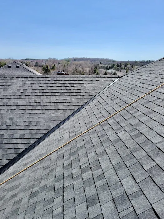 Green Roofing Solutions Picture 2