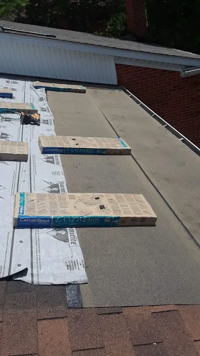 Green Roofing Solutions Picture 5