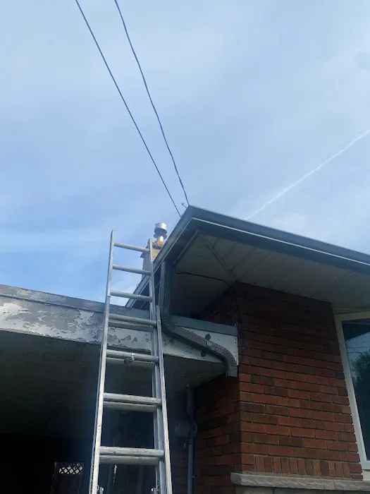 Dr Roof Ltd Picture 1