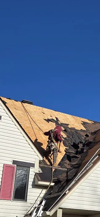 TT Sheltered roofing Picture 5