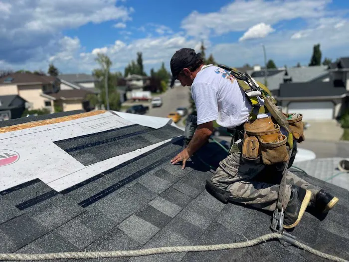 Cover Up Roofing Picture 2