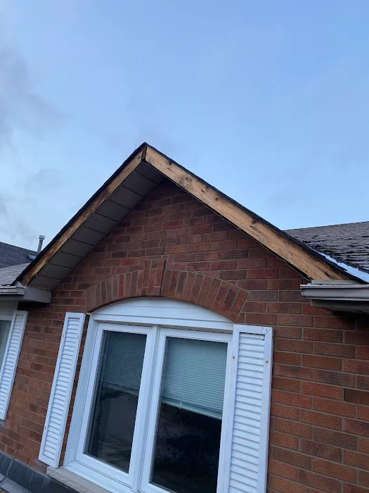 Cover Up Roofing Picture 1