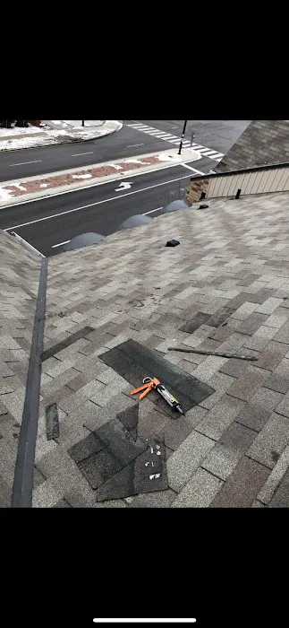 Cover Up Roofing Picture 3