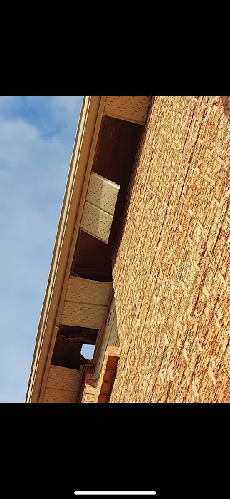 Cover Up Roofing Picture 7