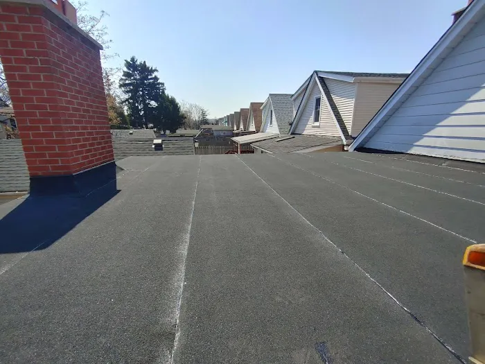 Sealteck Roofing Inc Picture 4