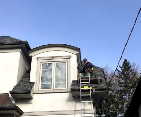 Princess Roofing