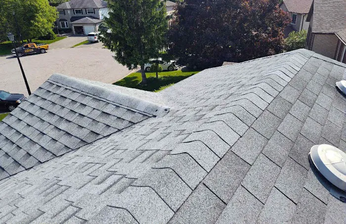 Professional Roofers Picture 1