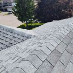 Professional Roofers