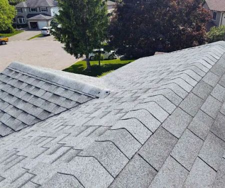 Professional Roofers