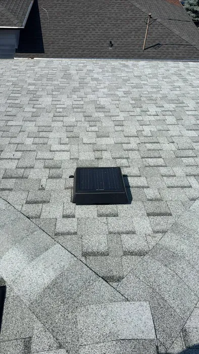 Professional Roofers Picture 4