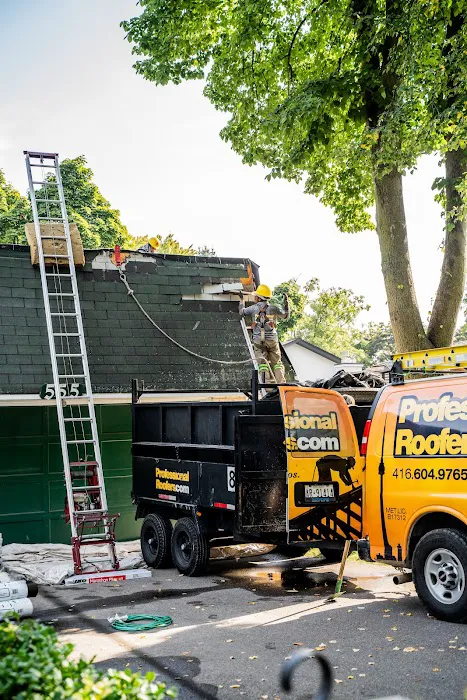 Professional Roofers Picture 5