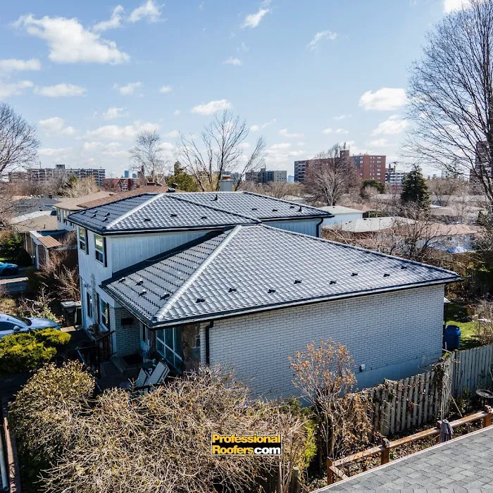 Professional Roofers Picture 9