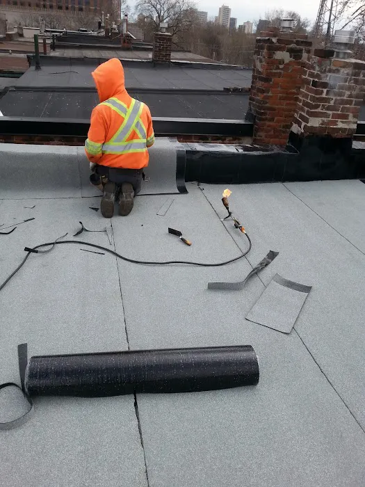 Cupola Roofing Inc Picture 4