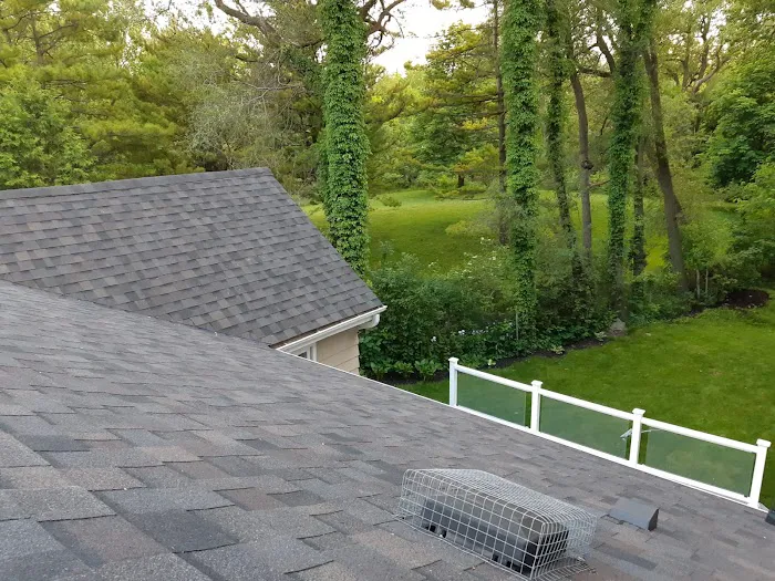Master Roof Repair Picture 2