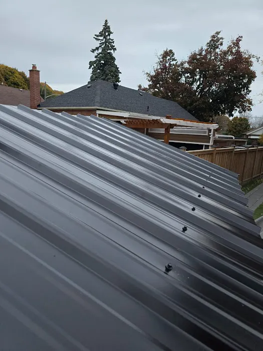 Master Roof Repair Picture 5
