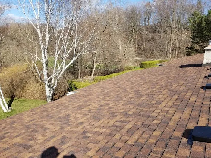 Master Roof Repair Picture 6