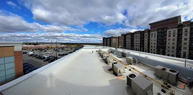 Blue Knight Roofing Inc Picture 8