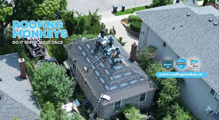 Roofing Monkeys Picture 1