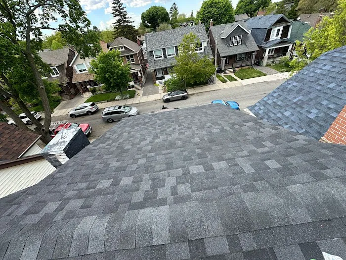 Roofing Monkeys Picture 3
