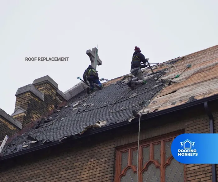 Roofing Monkeys Picture 6