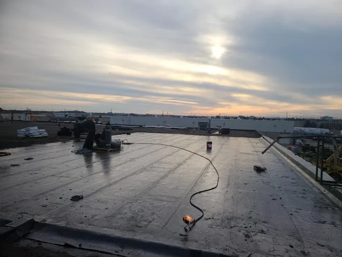 Concept Roofing Ltd. Picture 3