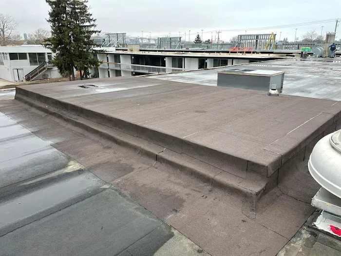 Royal Roofing Picture 7