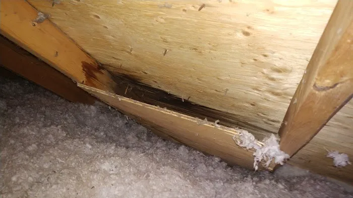 Proper Roofs Picture 5