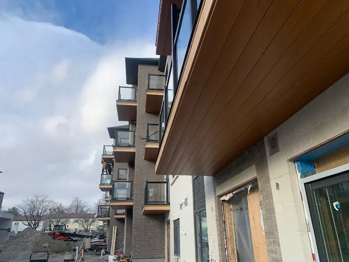 NiuNiu Roofing Picture 7