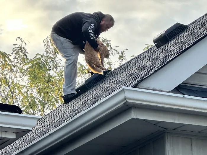 Newfoundland Roofers Picture 6