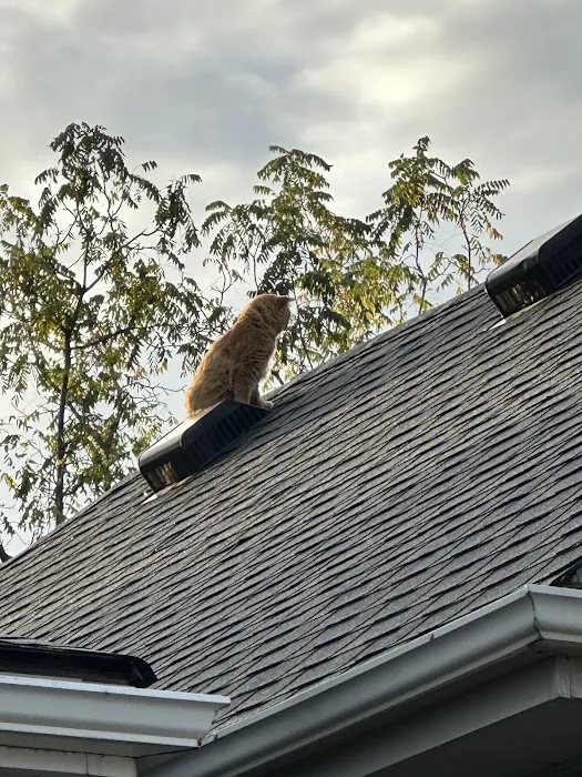 Newfoundland Roofers Picture 7