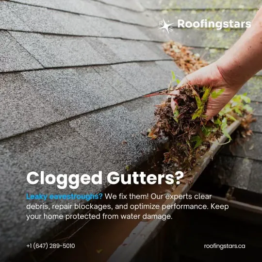Roofing Stars Picture 7