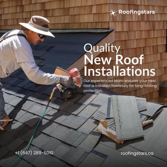 Roofing Stars Picture 5