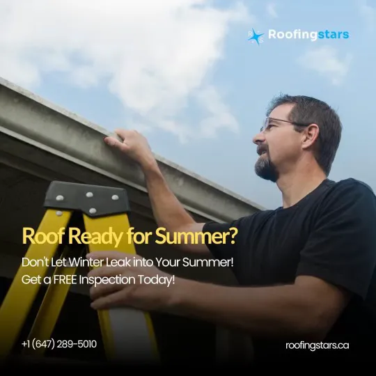 Roofing Stars Picture 8