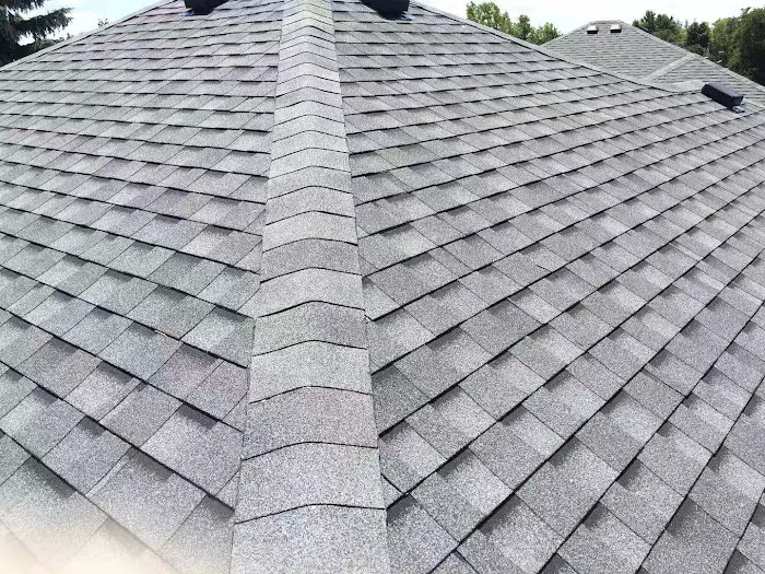 GTA Pro Roofing Picture 1