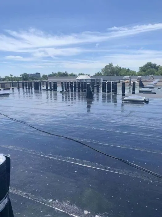 GTA Pro Roofing Picture 6