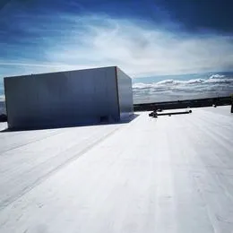 Modern Industrial Roofing Picture 1