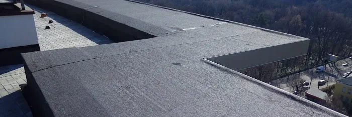 Royal Roofing Picture 1