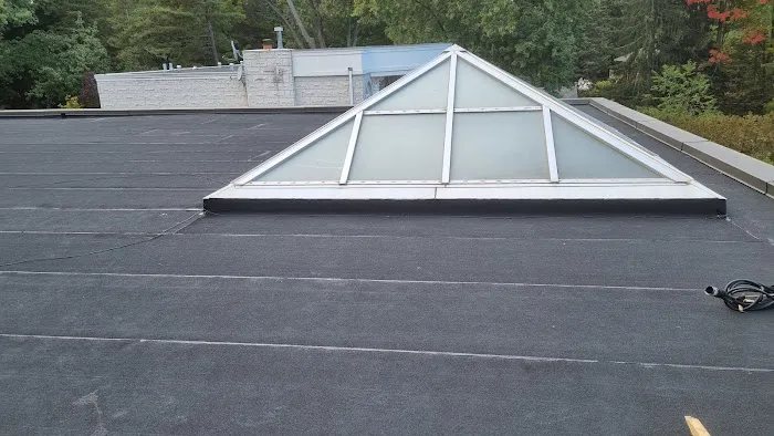 Csky Roofing Picture 4