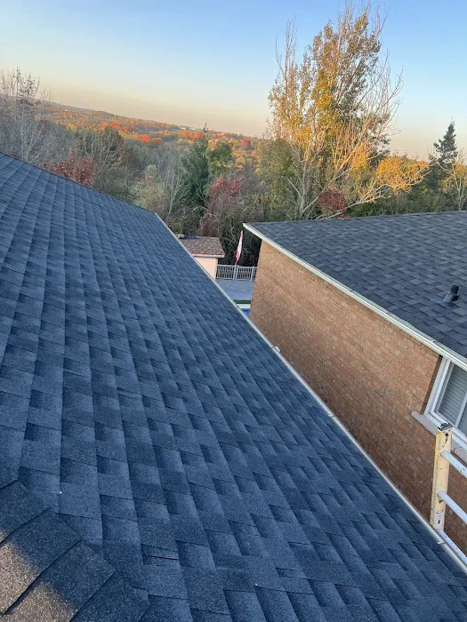 Top Art Roofing Ltd Picture 1